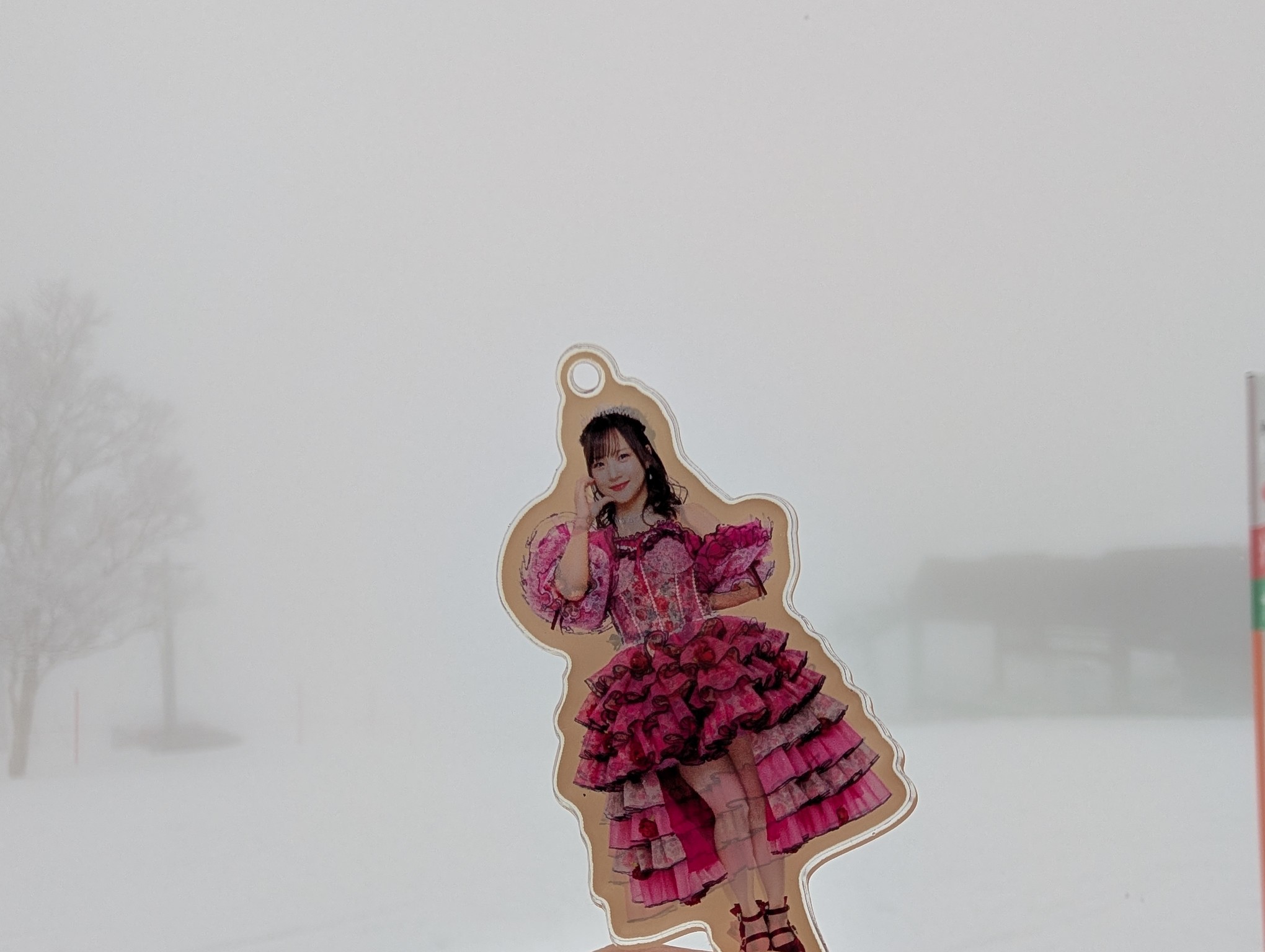 サッポロテイネ