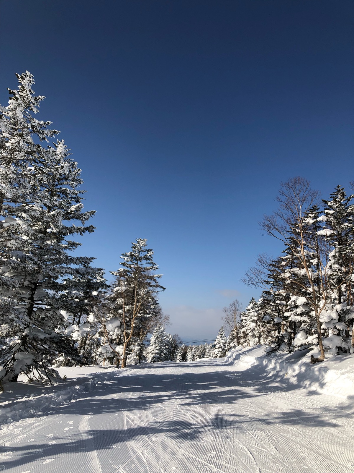 志賀高原 焼額山スキー場