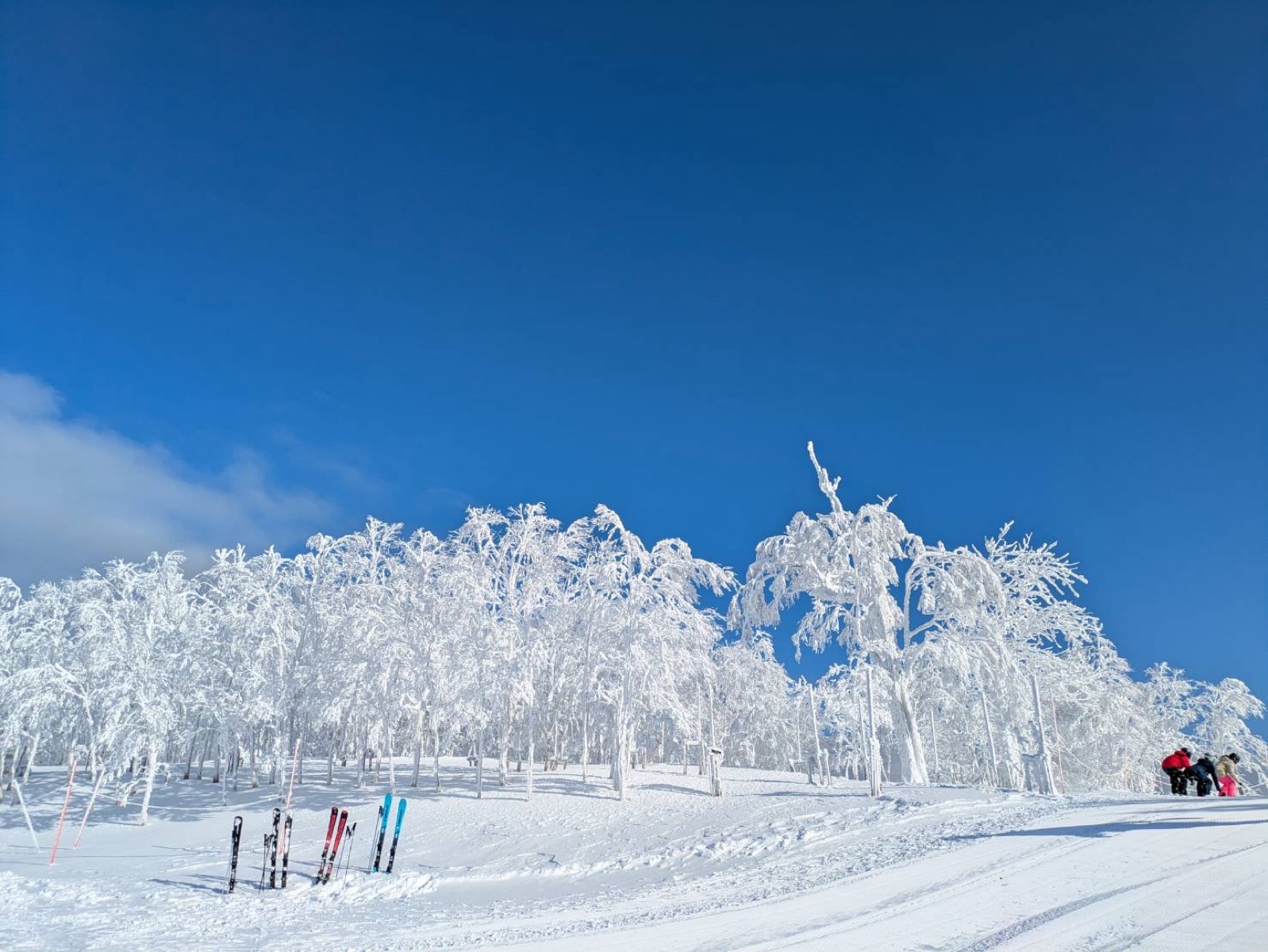 カムイスキーリンクス