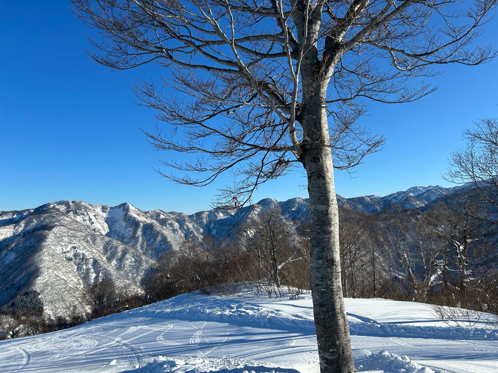 白山セイモアスキー場