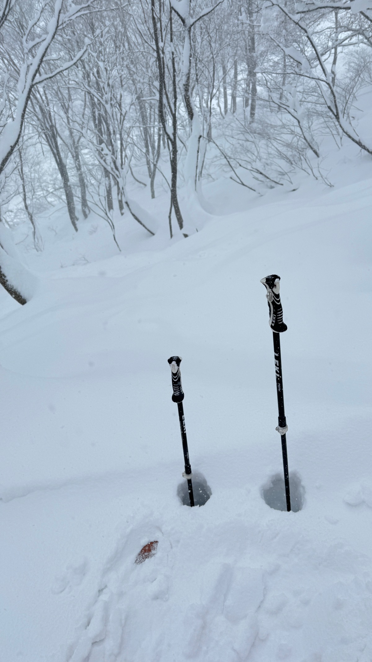 高鷲スノーパーク