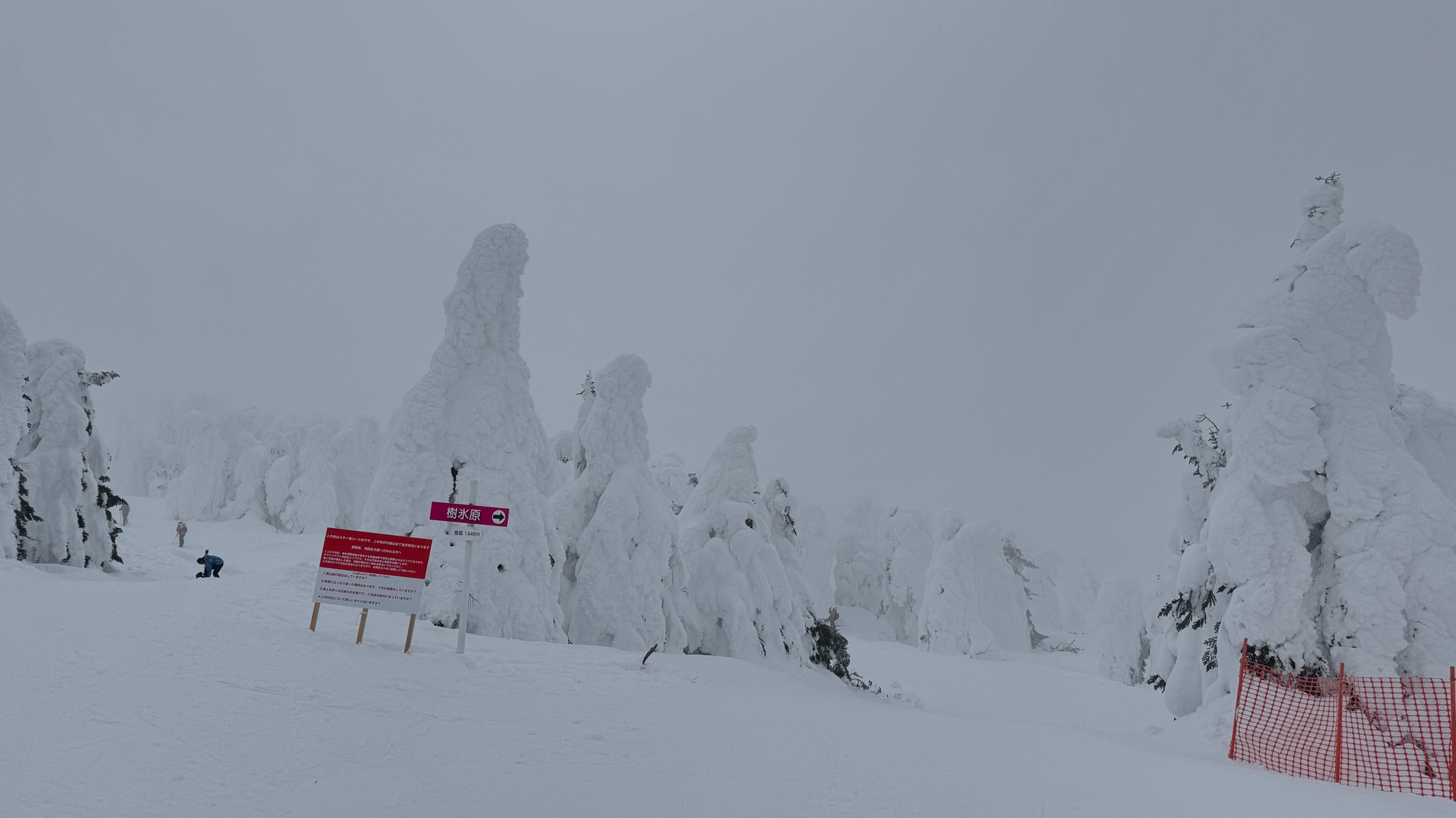 蔵王ライザワールドスキー場（山形）｜混雑・雪質・口コミが