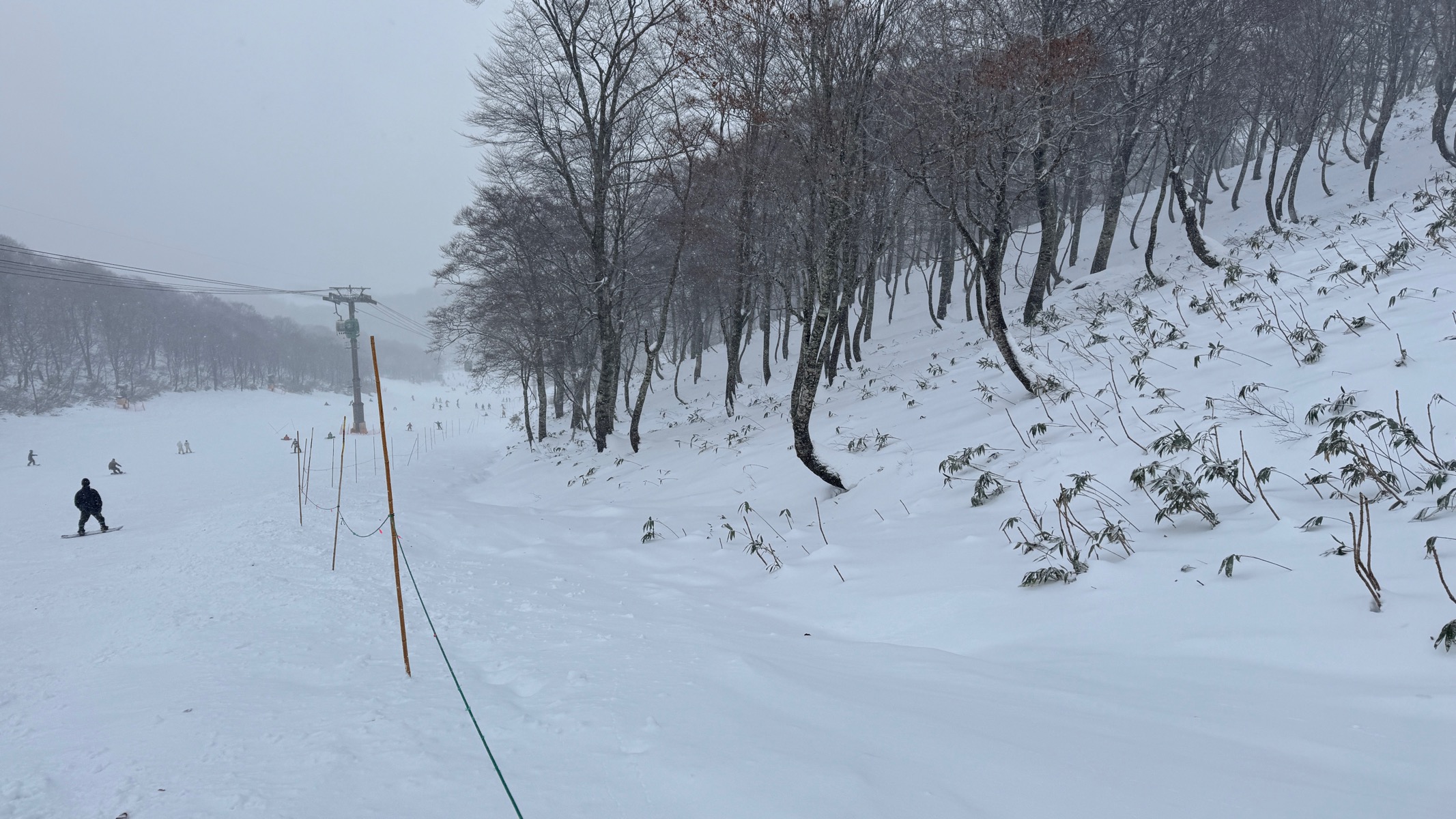 高鷲スノーパーク