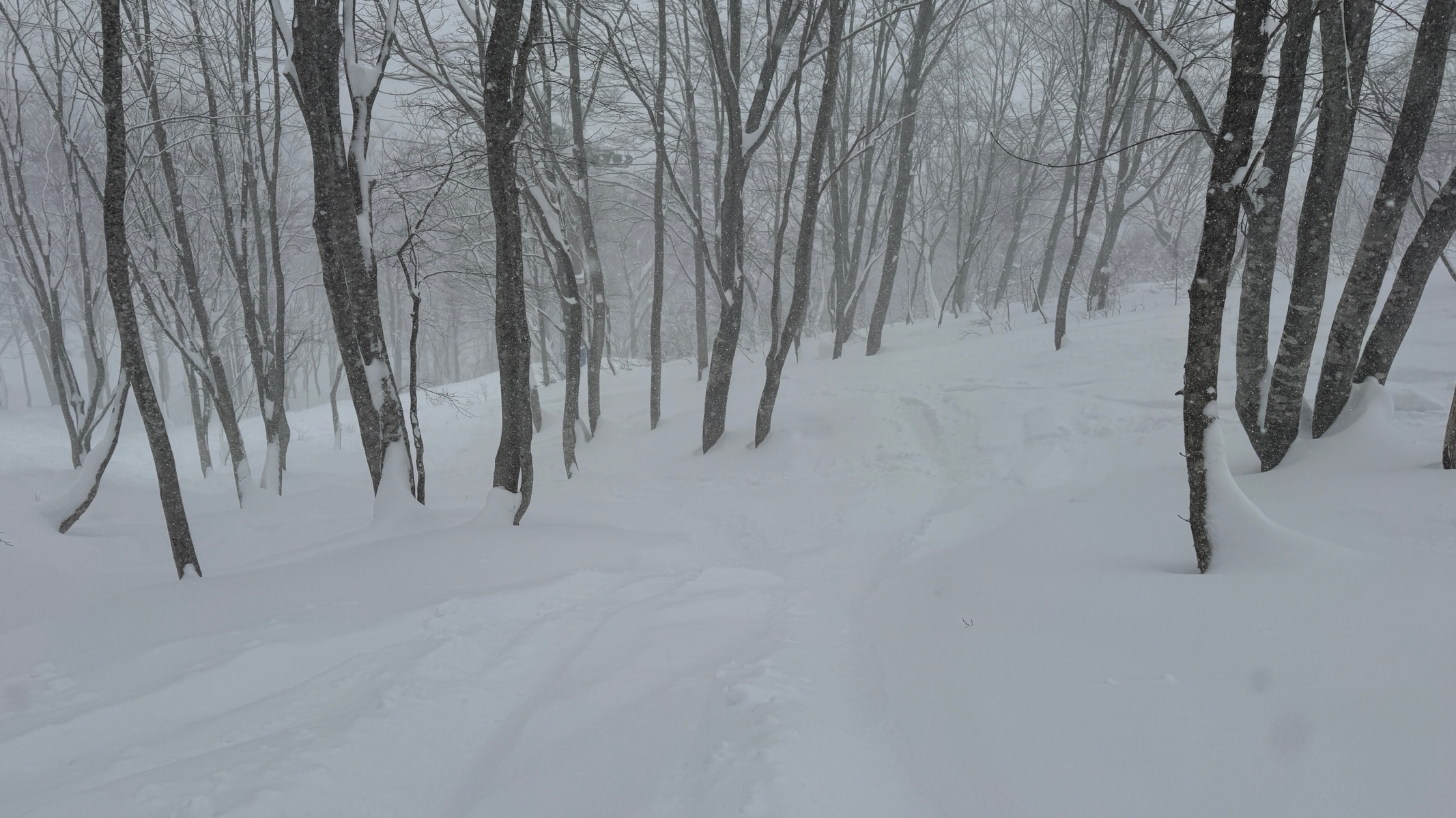 高鷲スノーパーク