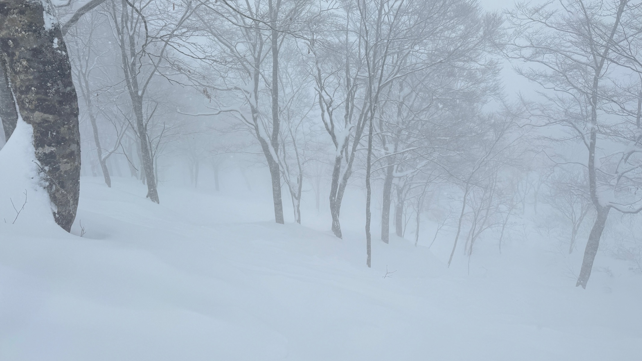 高鷲スノーパーク