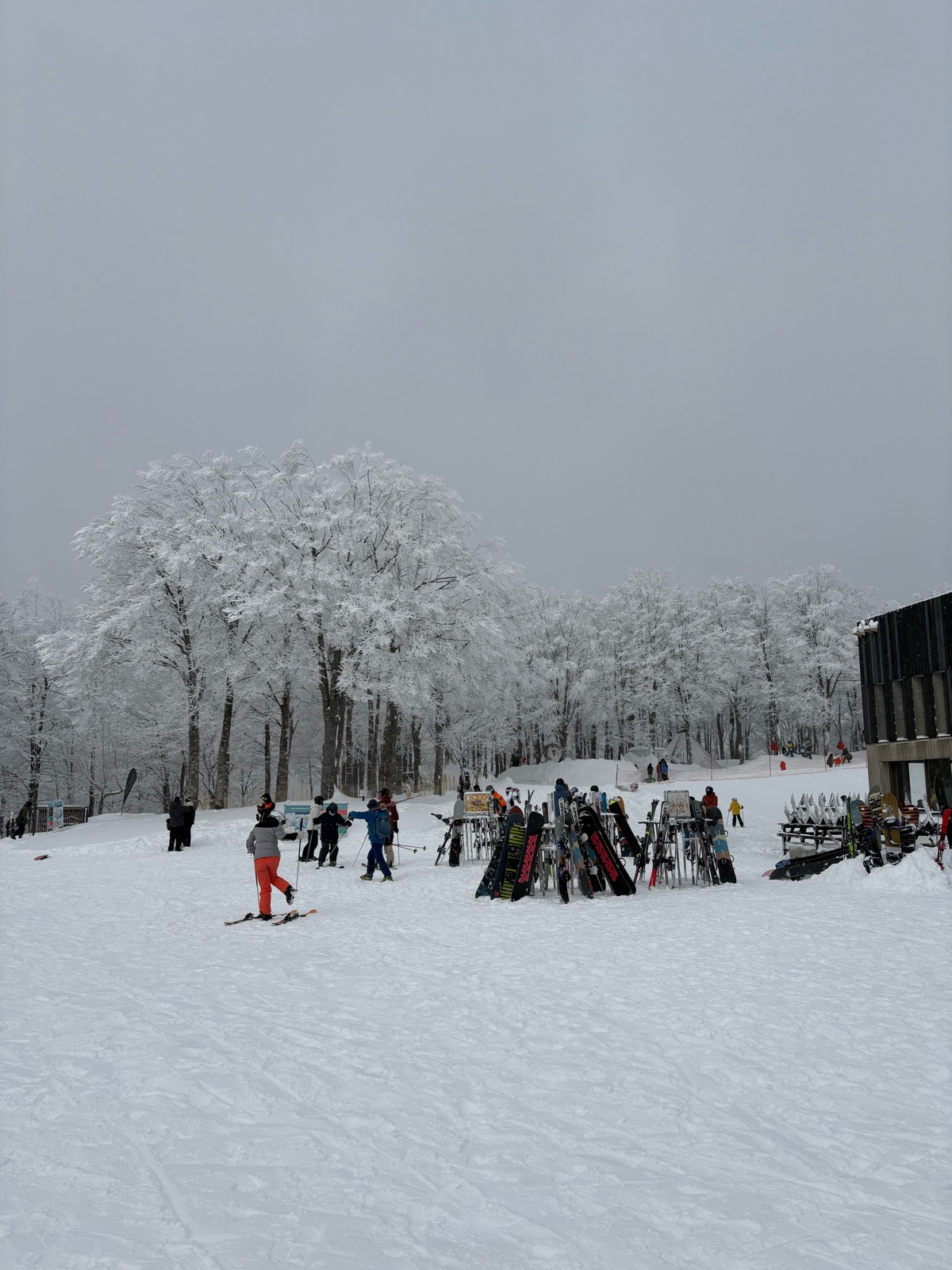 白馬岩岳スノーフィールド