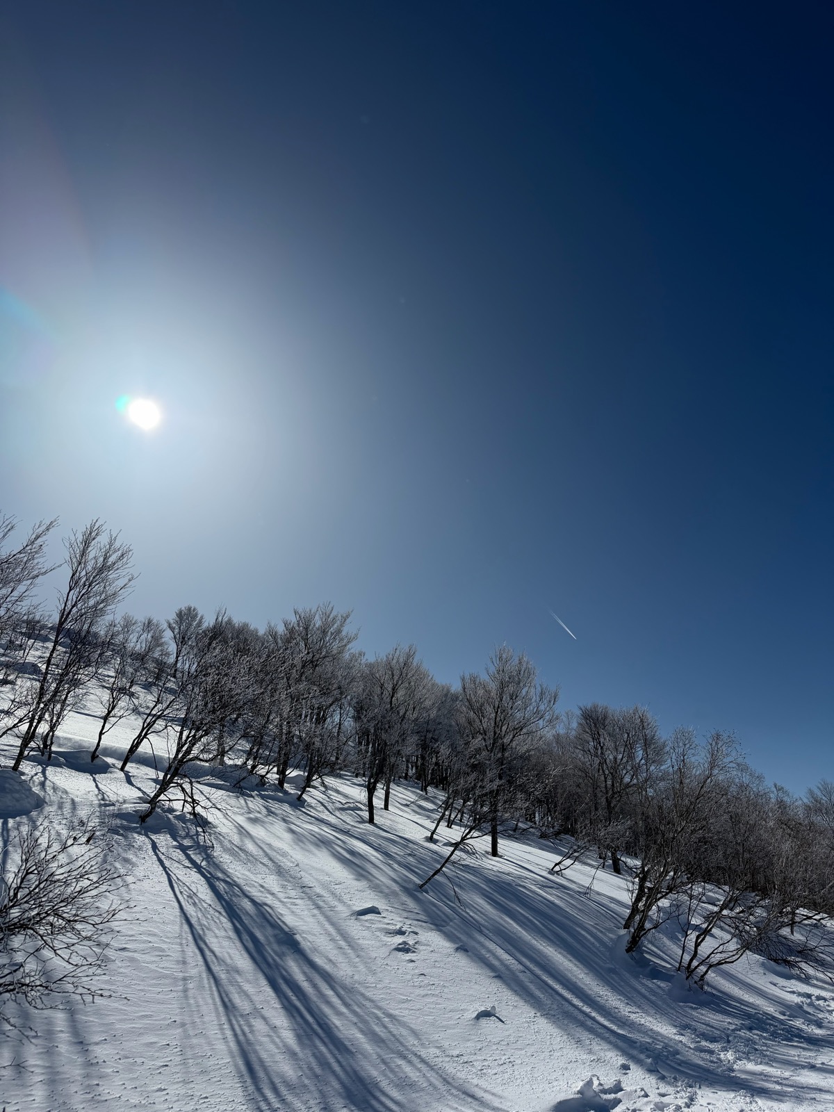 スキージャム勝山