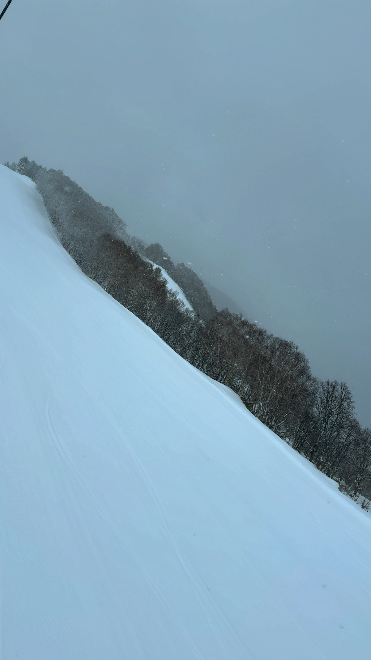 天元台高原スキー場