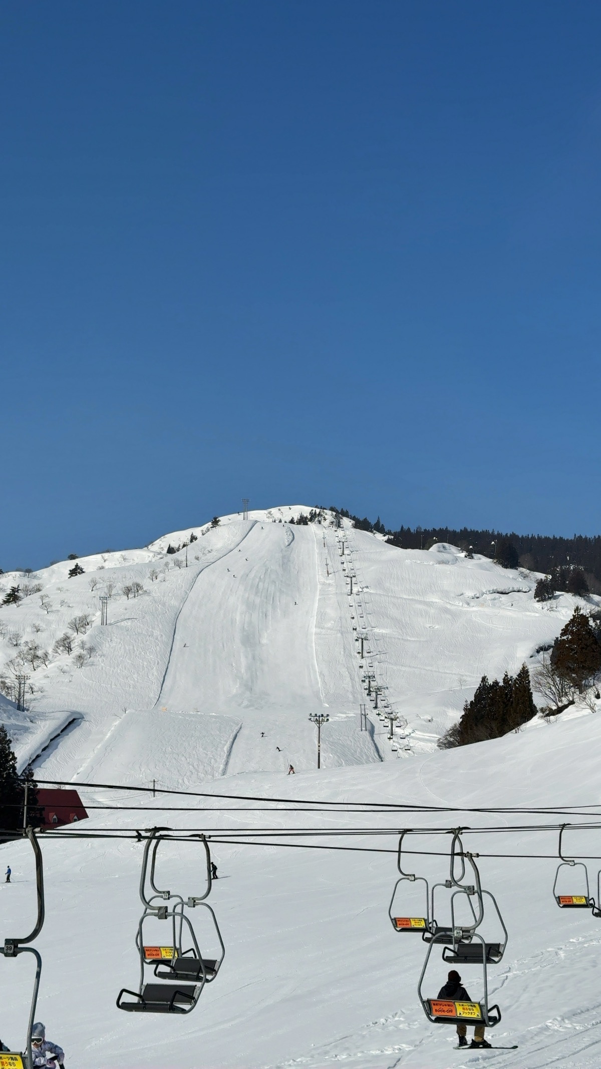 上越国際スキー場
