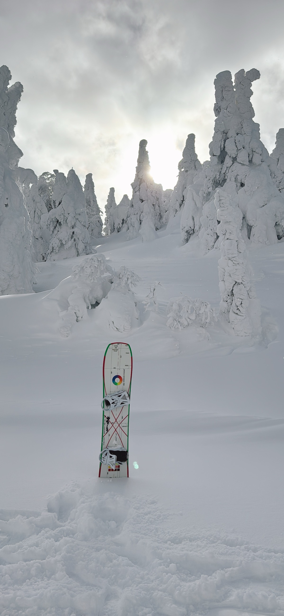 蔵王温泉スキー場