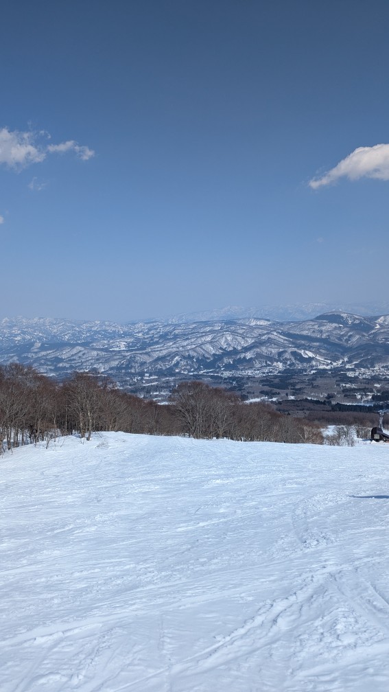 池の平温泉 アルペンブリックスキー場（新潟）｜混雑・雪質