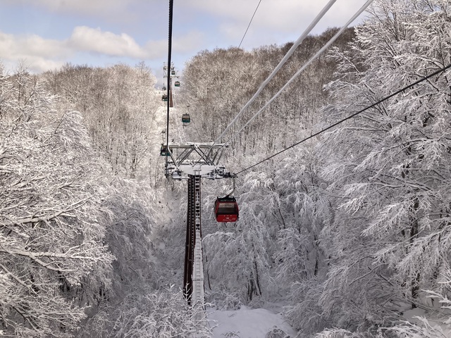 Hakuba47 ウィンタースポーツパーク の写真