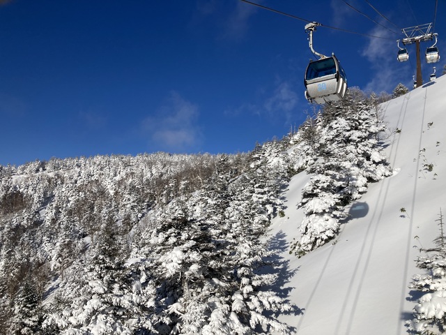 １０日からの３連休、初日は若干の積雪で足にやさしいバーン、２日目荒天予想がずれて夕方からで終日高速で、最終３日目パウダー天国と最高の休日でした。