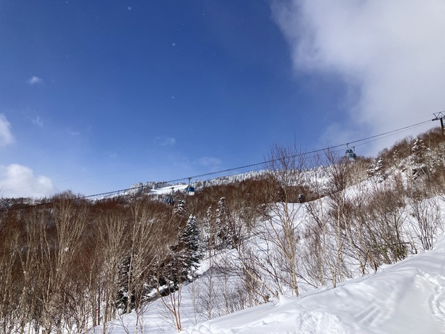 志賀高原 焼額山の写真