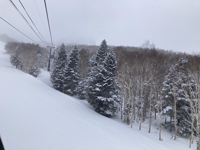 ８時からの営業開始で混雑予想してましたが、第二ゴンドラたっぷり頂きました。久しぶりの極寒できりっとピリッと引き締まった感じです。